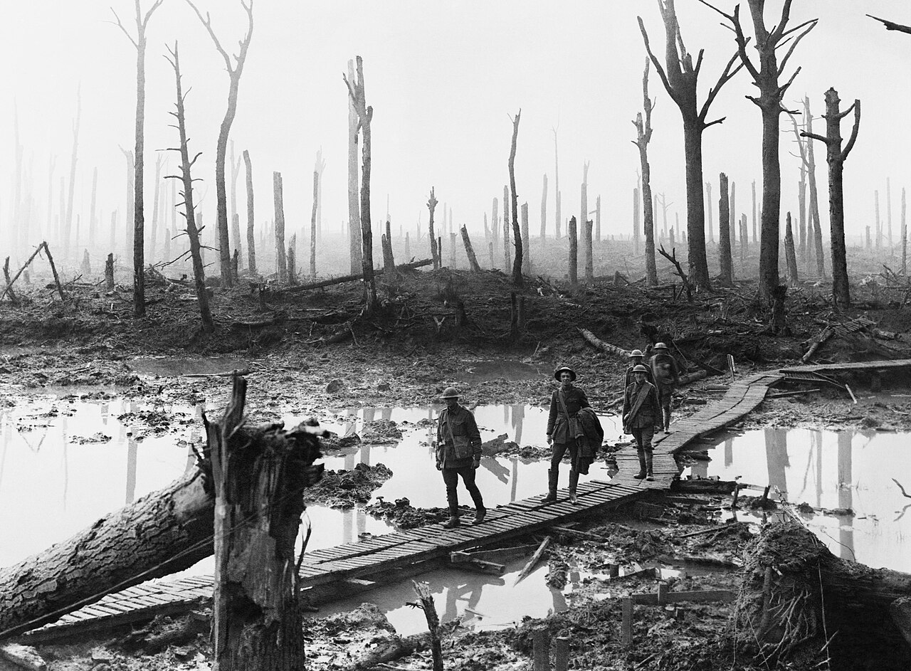 A desolate landscape of shattered trees and trenches to visually ground the psychological devastation
